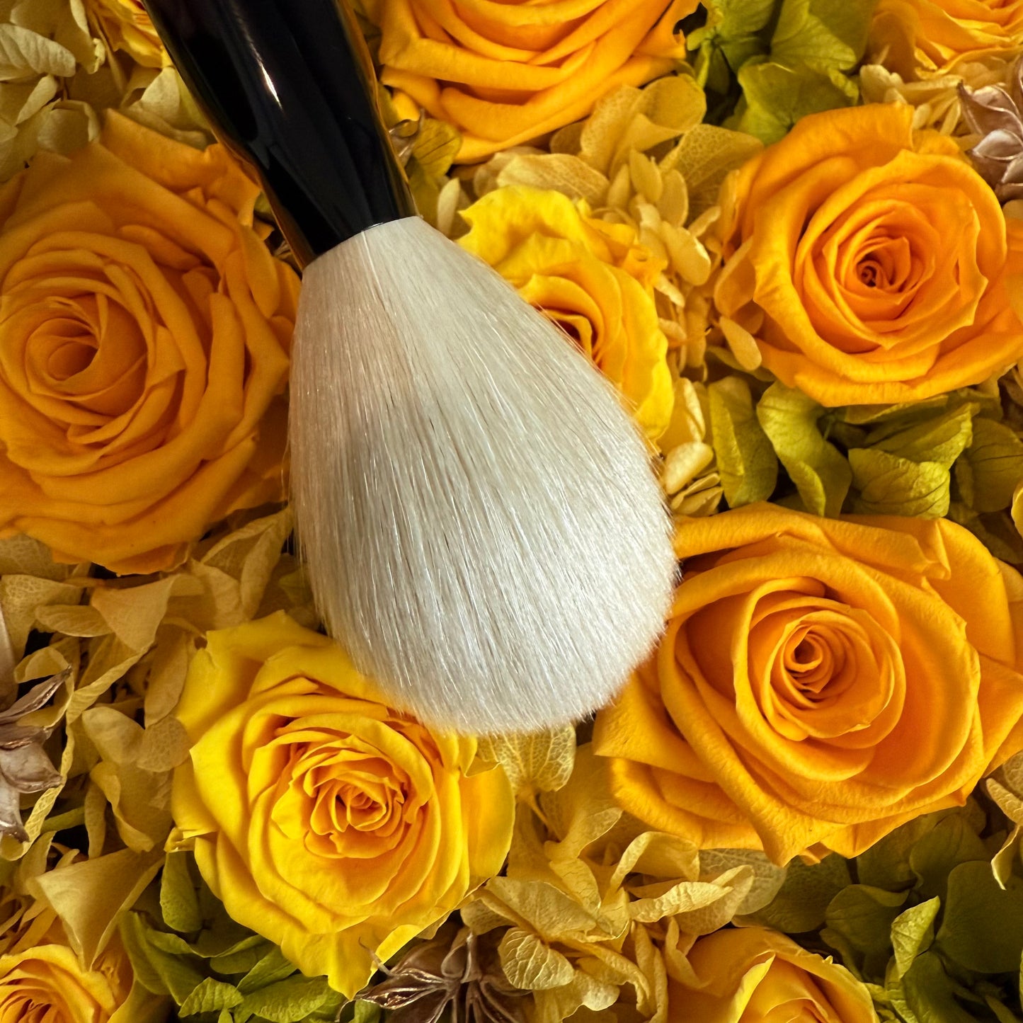 KOYUDO makeup brush saibikoho Face powder brush/Gokujyo saibikoho cheek brush Black Friday special edition by Yoshiki