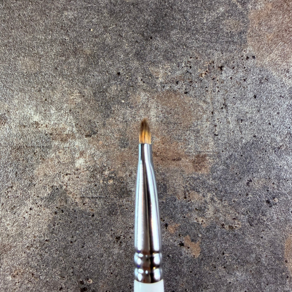 Mizuho eyeshadow brush S Canadian Squirrel