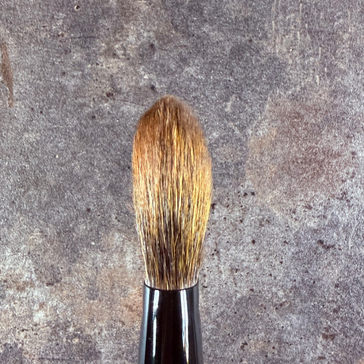 Takeda Brush outlet Cheek Brush 16CSQU Canadian Squirrel 100%