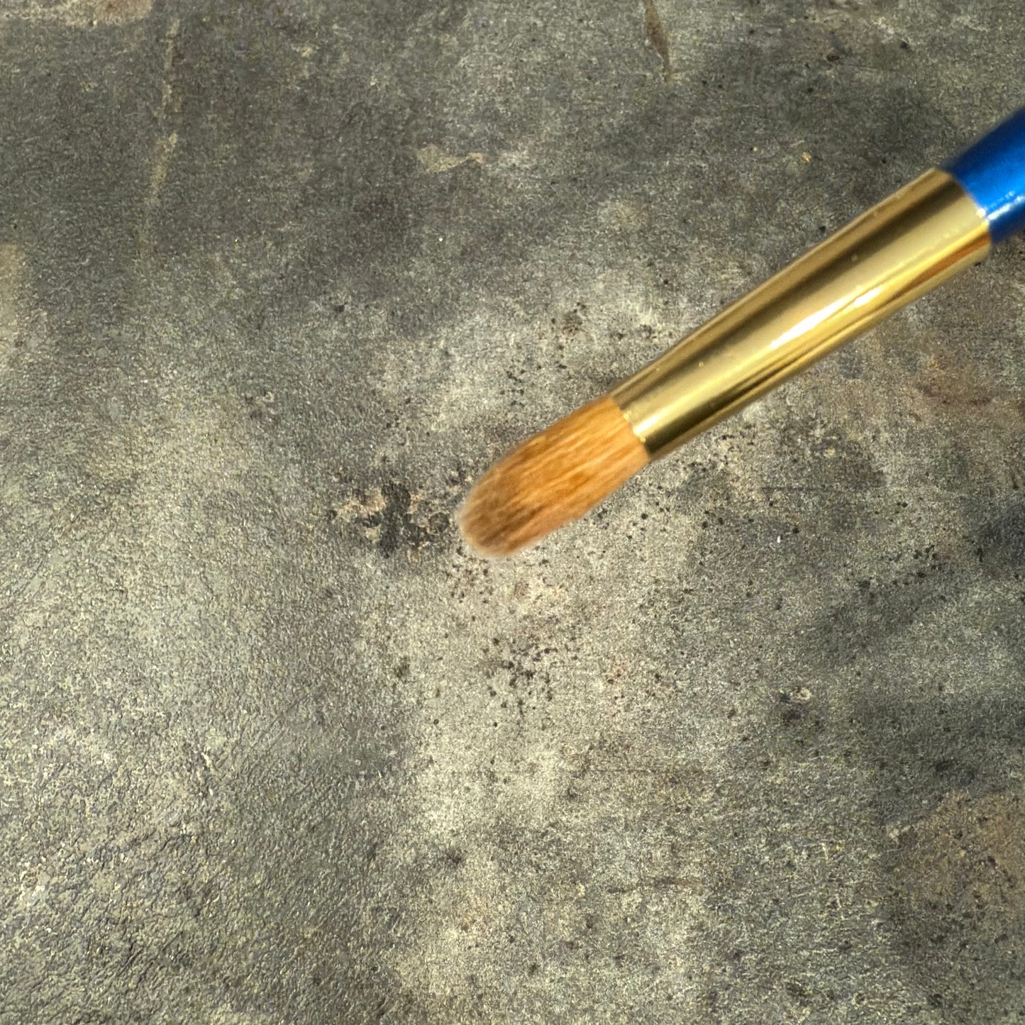 Tanseido KQ11G eyeshadow brush ,M size,Kolinsky