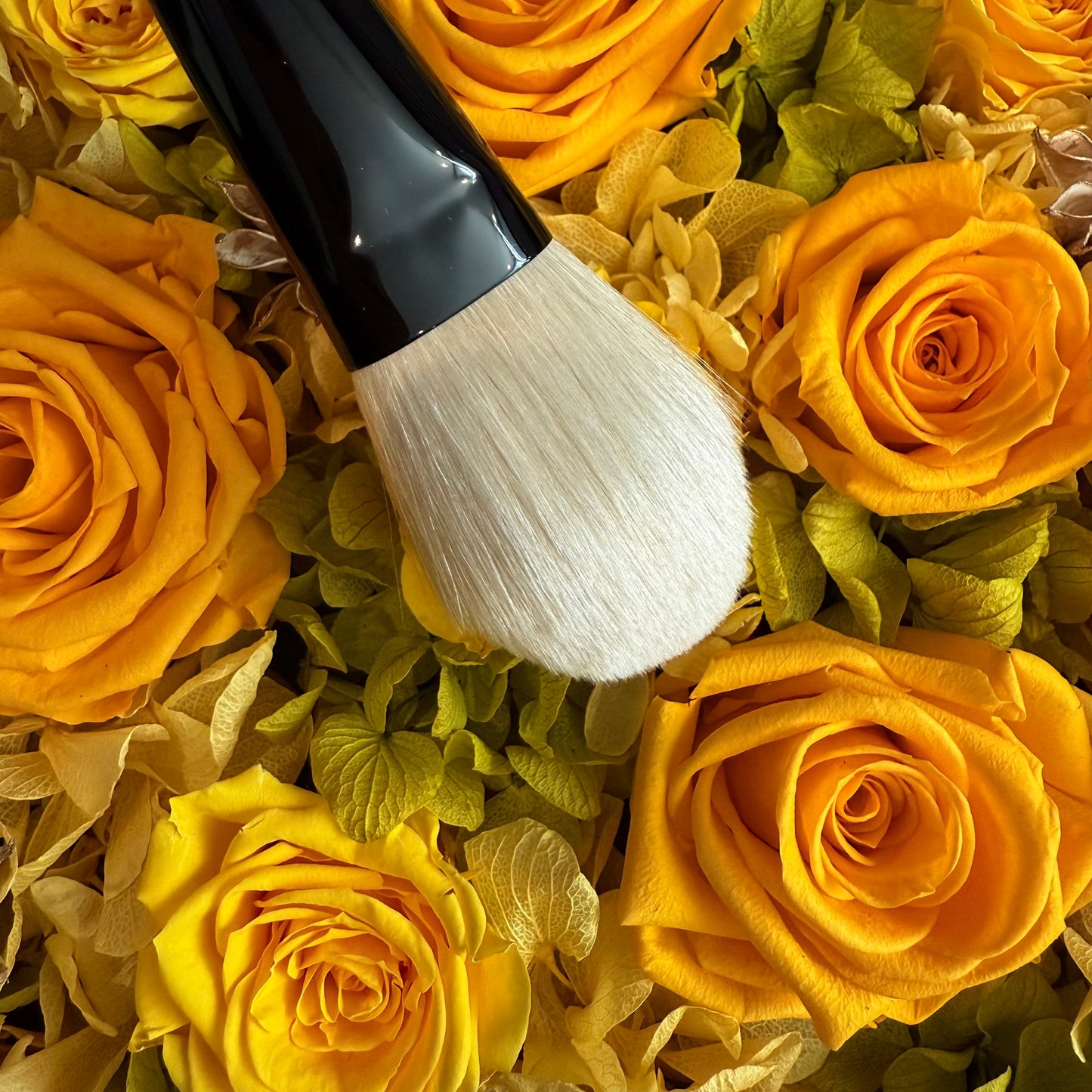 KOYUDO makeup brush saibikoho Face powder brush/Gokujyo saibikoho cheek brush Black Friday special edition by Yoshiki