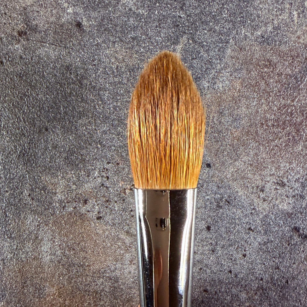 CHIKUHODO outlet Highlight Brush Weasel NO LOGO