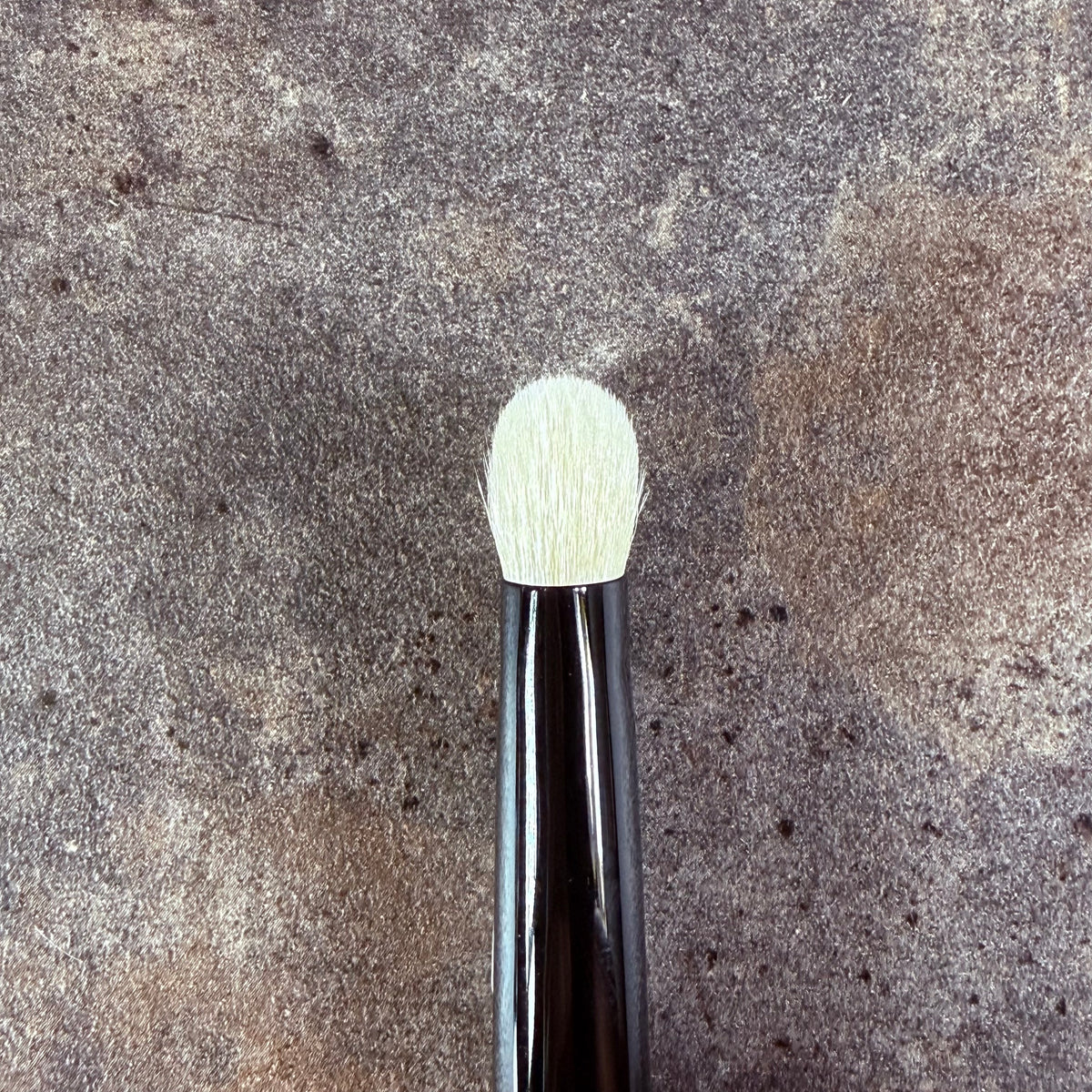 Takeda Brush outlet Eyeshadow Brush WF12SS SDG S (100% Goat Hair)