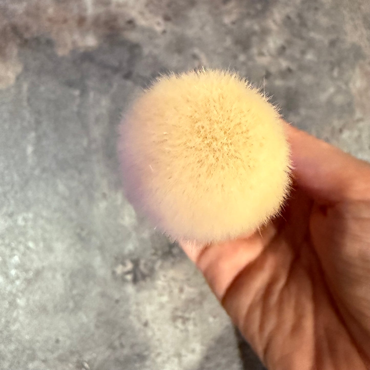 Takeda brush Outlet saikoho goat