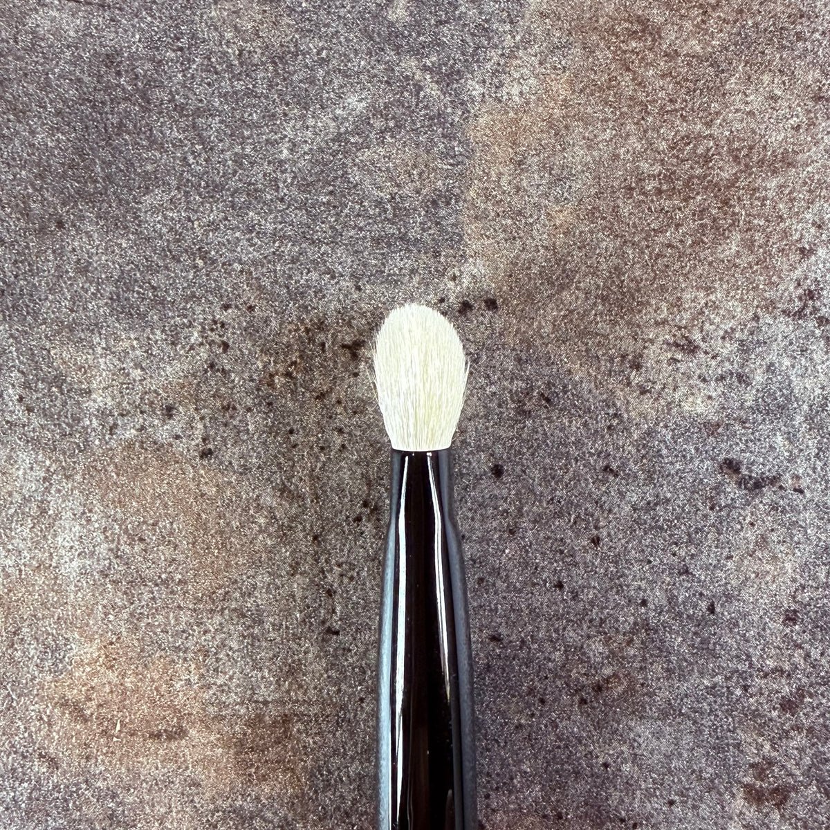 Takeda Brush outlet Eyeshadow Brush WFSH12SS SDG S (100% Goat Hair)