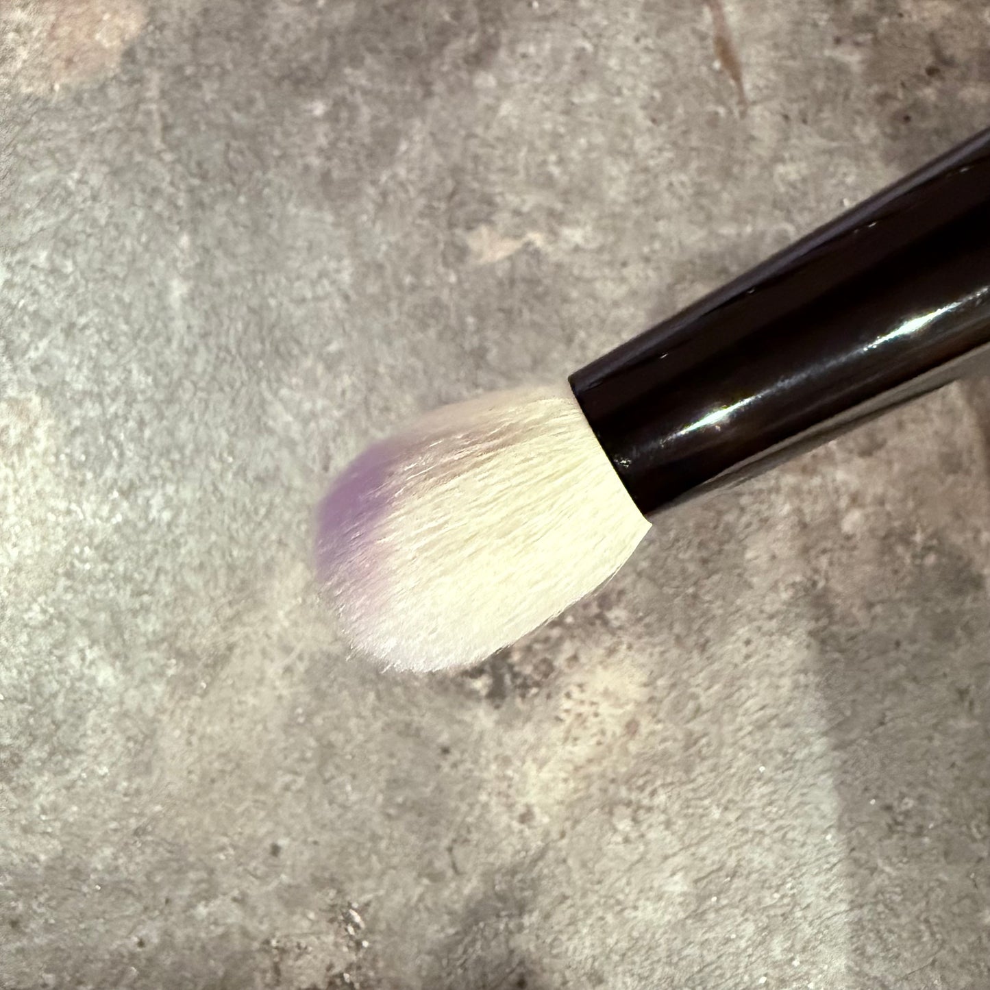 Takeda brush Outlet saikoho goat