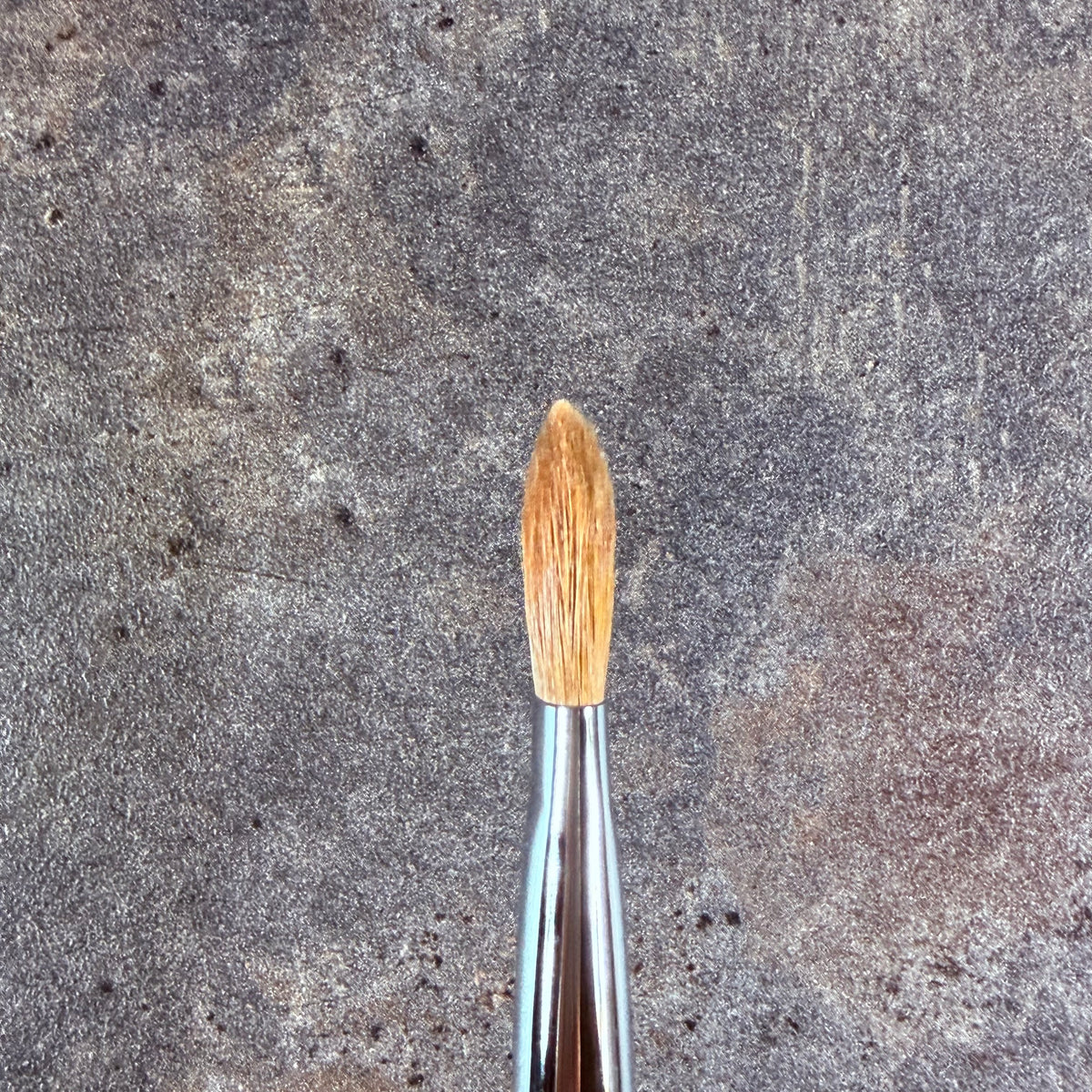 CHIKUHODO outlet Concealer Brush L Weasel NO LOGO