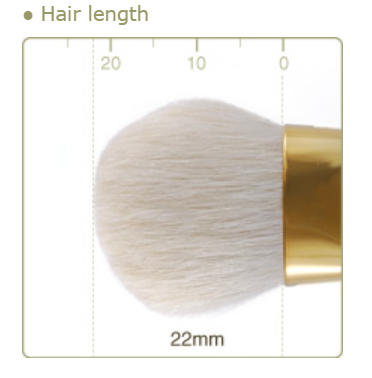 CHIKUHODO G-10 Liquid Foundation Brush Sokouhou goat hair