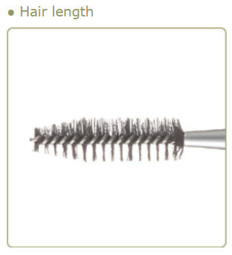CHIKUHODO R-B3/RR-B3 Screw Eyebrow Brush PBT
