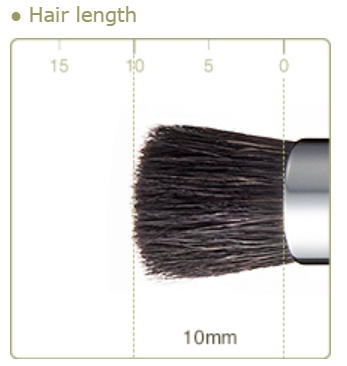 CHIKUHODO R-CO2/RR-CO2 Concealer Brush Round Sokouhou goat