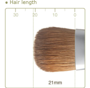 CHIKUHODO older version R-LQ2/RR-LQ2 Foundation Brush Liquid Flat-round Weasel