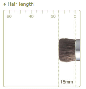 CHIKUHODO R-P5/RR-P5 Foundation Brush Flat Gray squirrel