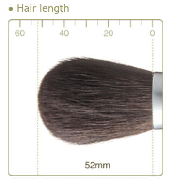 CHIKUHODO older version R-P6/RR-P6 Powder Brush Flat-round Gray Squirrel