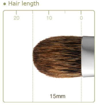 CHIKUHODO R-S6/RR-S6 Eyeshadow Brush Flat-round Pine squirrel mix weasel