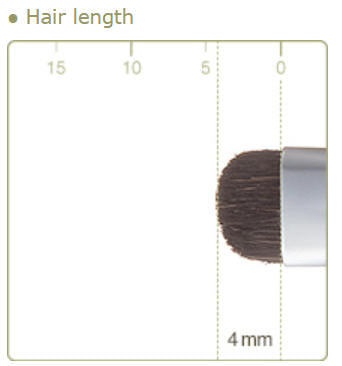 CHIKUHODO R-SL4/RR-SL4 Eyeliner Brush Shadow liner Flat-round Horse