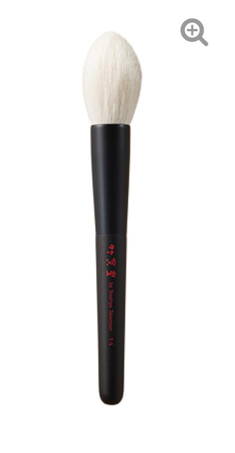 CHIKUHODO T-5 Highlight brush,flame,saikoho,T series