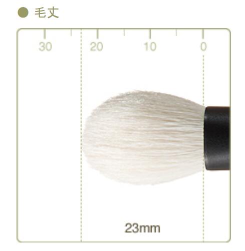 CHIKUHODO T-6 Eyeshadow brush L,flat round,saikoho,T series