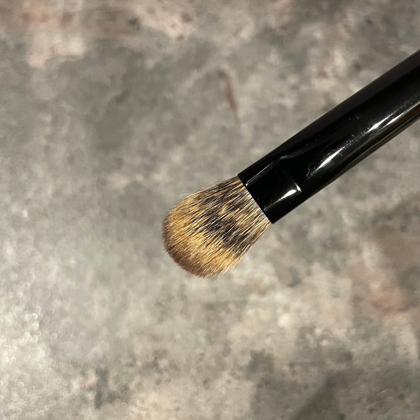 Takeda brush outlet eyeshadow brush WFSH12 EPSQU pine squirrel