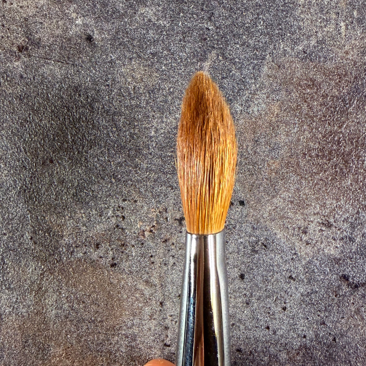 CHIKUHODO outlet Highlight Brush Weasel NO LOGO