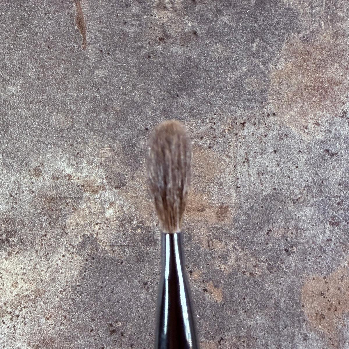 Takeda Brush outlet Gray Squirrel brush