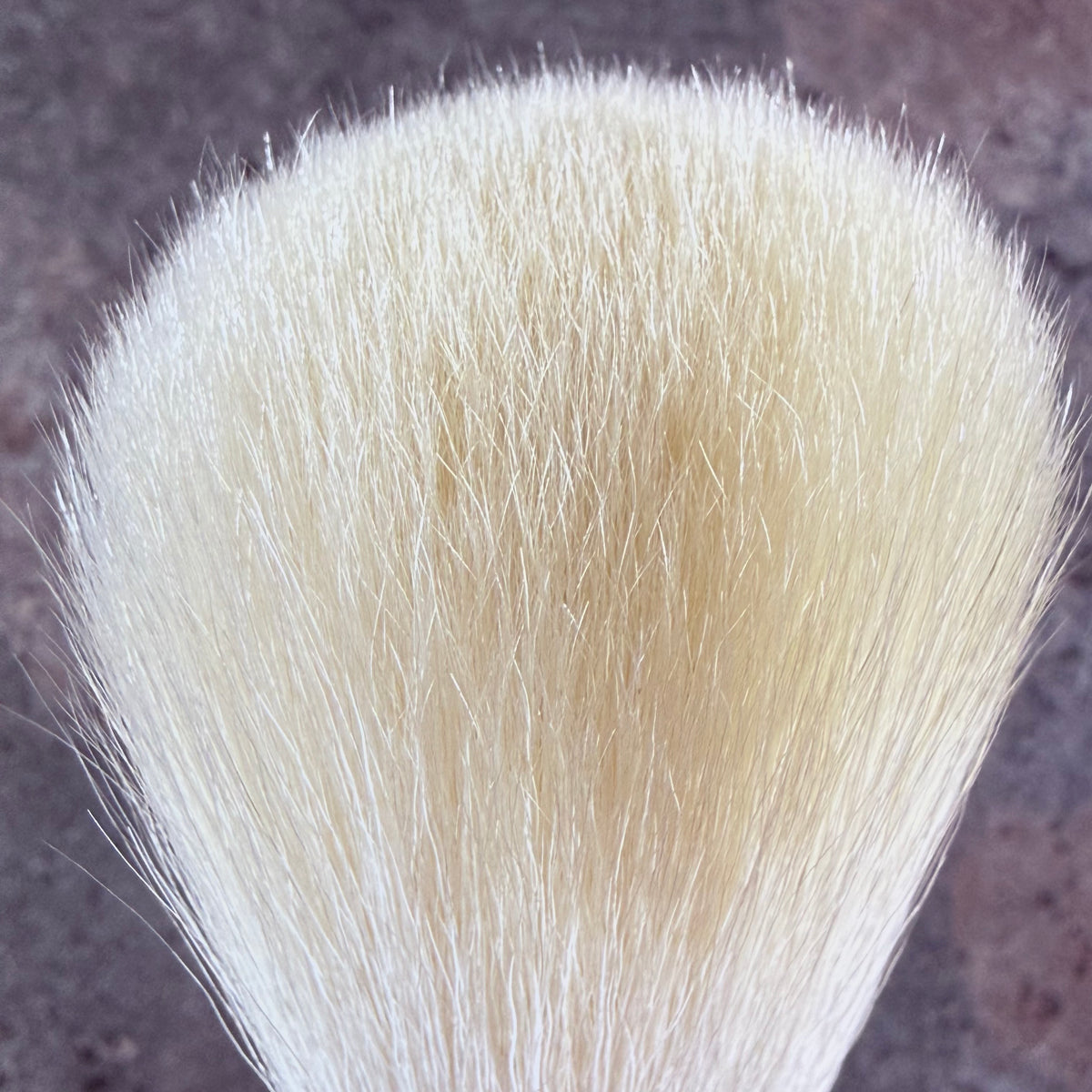 Takeda Brush outlet Face Brush 23EXS (100% Goat Hair)