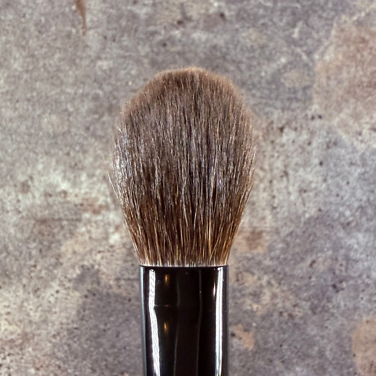 Takeda Brush outlet Gray Squirrel brush