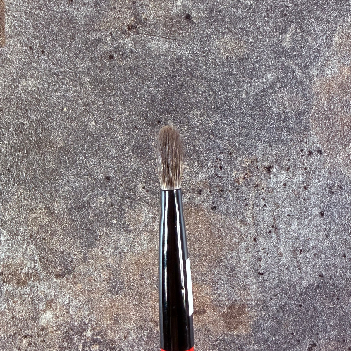 Takeda Brush outlet Gray Squirrel brush