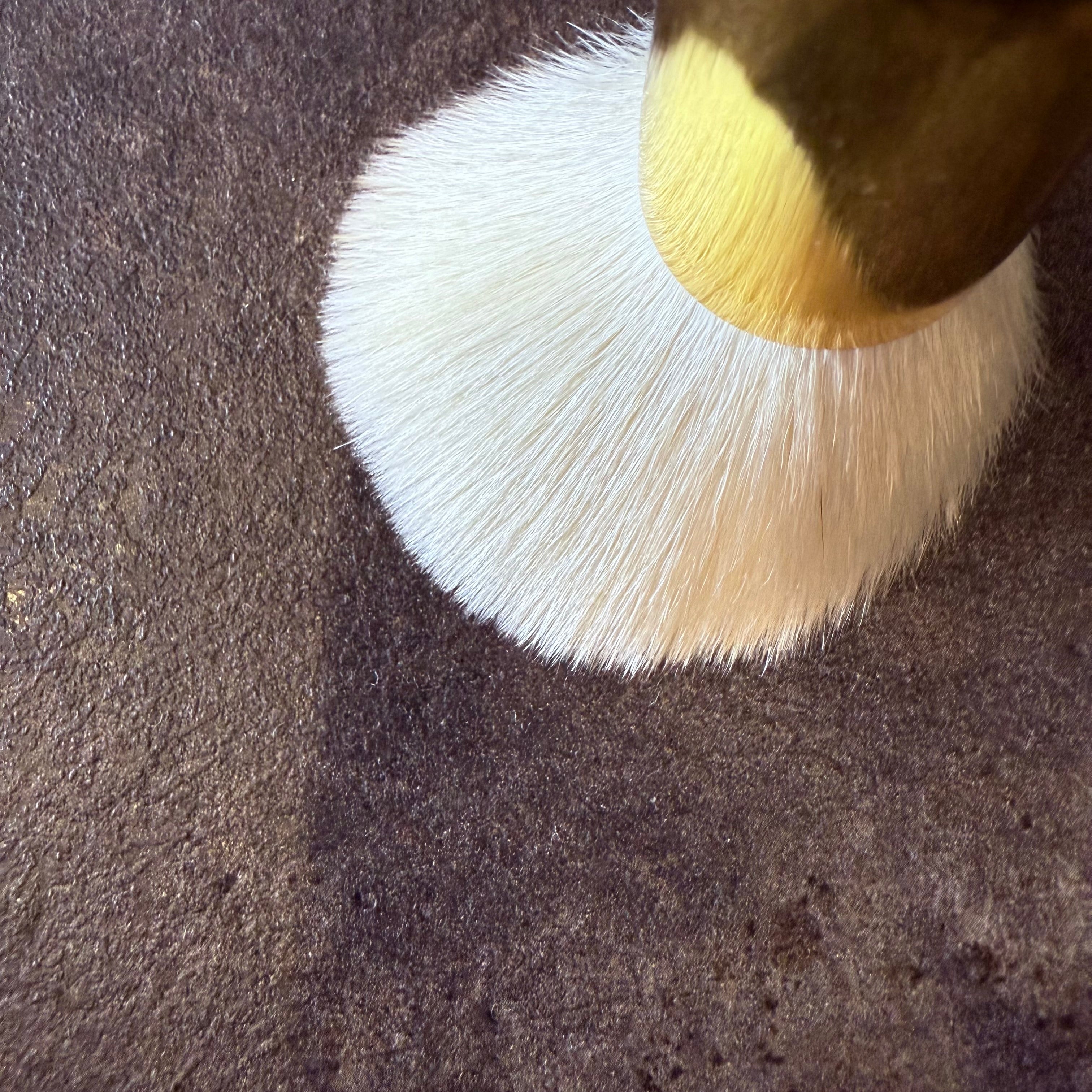 BoBo BISYODO collaboration makeup brush Marshmallow angled face