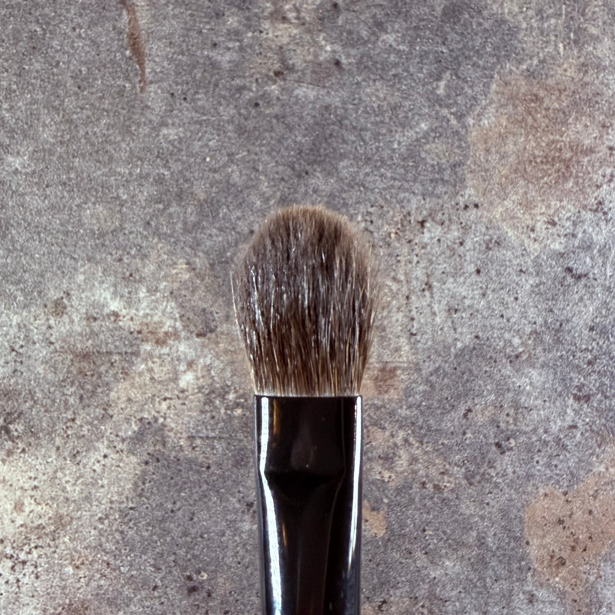 Takeda Brush outlet Gray Squirrel brush