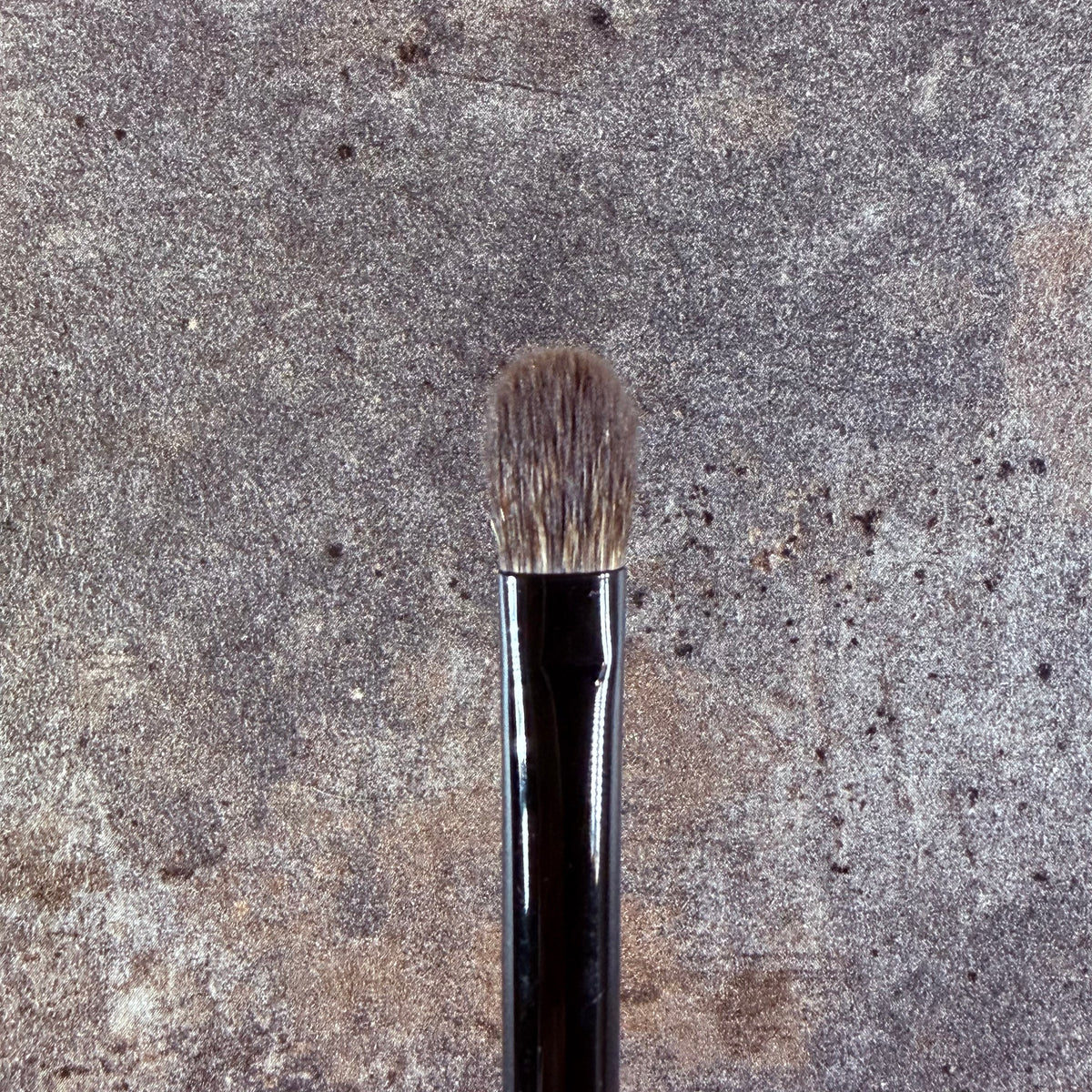 Takeda Brush outlet Gray Squirrel brush