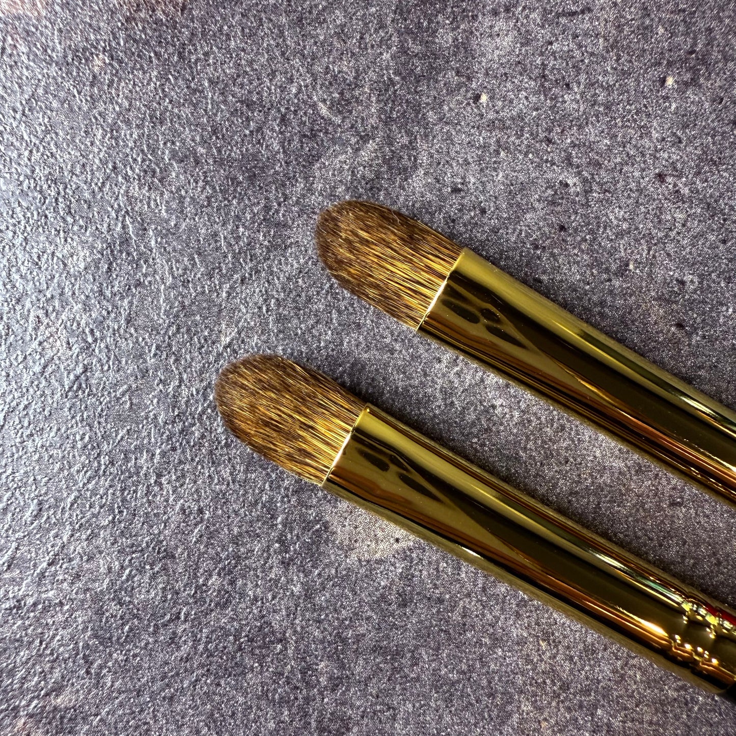 EIHODO WPS-8 eyeshadow brush M size Canadian squirrel makie design