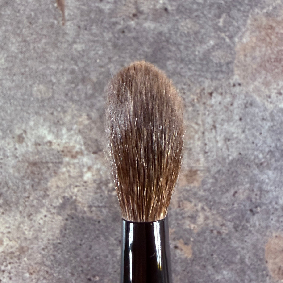 Takeda Brush outlet Gray Squirrel brush