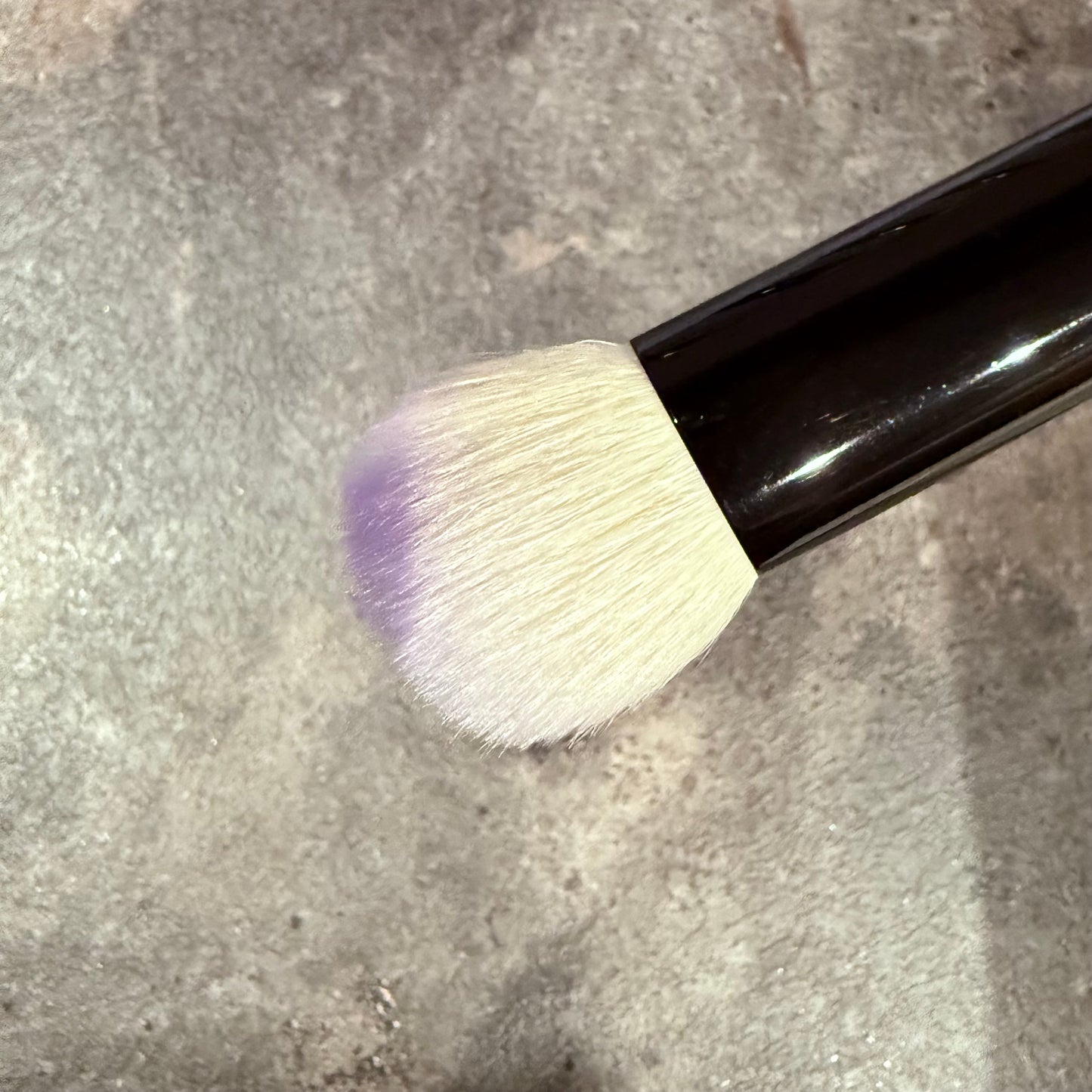 Takeda brush Outlet saikoho goat