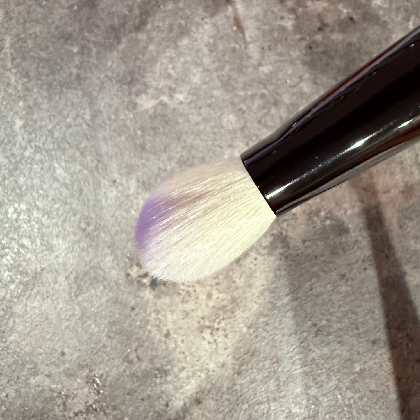 Takeda brush Outlet saikoho goat
