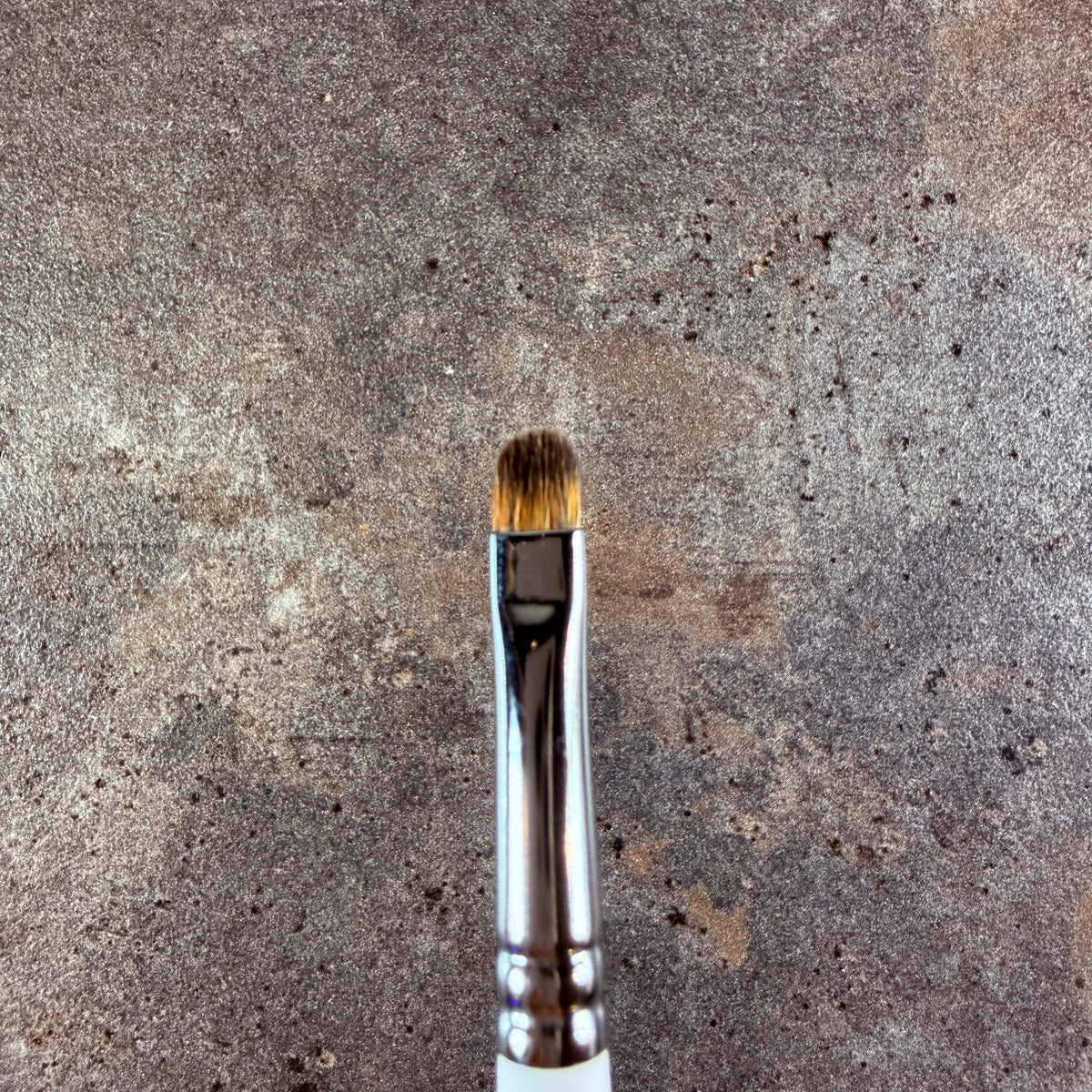 Mizuho eyeshadow brush S Canadian Squirrel