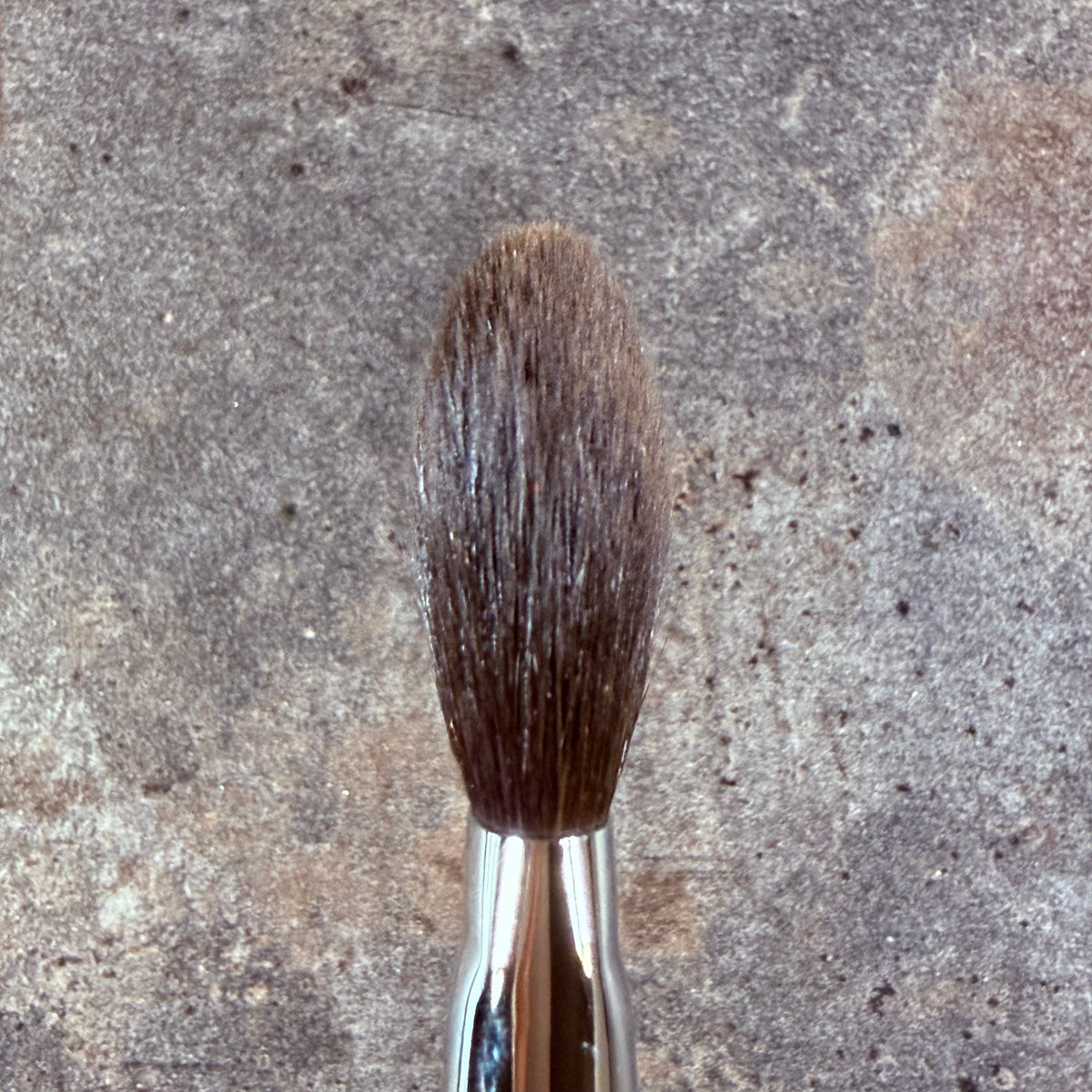 KOYUDO outlet Highlight Brush Gray squirrel