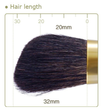 CHIKUHODO G-2 Cheek/Highlight Brush Angle Gray squirrel mix Sokouhou goat hair
