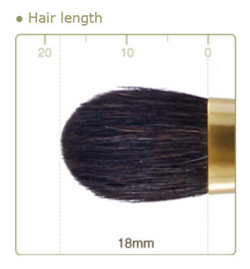 CHIKUHODO G-3 Eyeshadow Brush Flat Round Gray squirrel