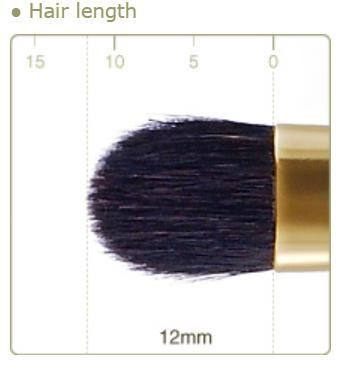 CHIKUHODO G-4 Eyeshadow Brush Flat Round Gray squirrel