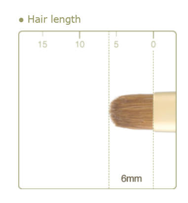 CHIKUHODO GSN-11 Shadow-liner Brush Round Flat Weasel