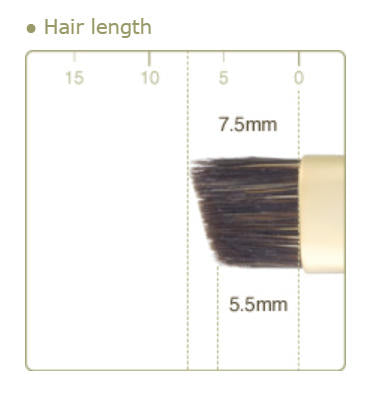 CHIKUHODO GSN-12 Eyebrow Brush Raccoon Dog