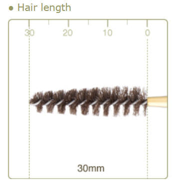 CHIKUHODO GSN-14 Screw Raccoon Dog