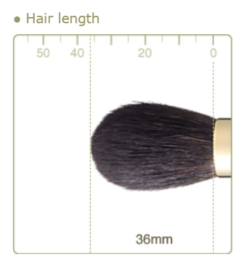 CHIKUHODO GSN-4 Cheek/Highlight Brush Gray Squirrel mix sokoho