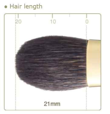 CHIKUHODO GSN-7 Eye shadow Brush Round Flat Gray squirrel mix fitch