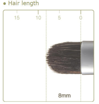 CHIKUHODO R-CO1/RR-CO1 Concealer Brush Flaat-round Raccoon Dog