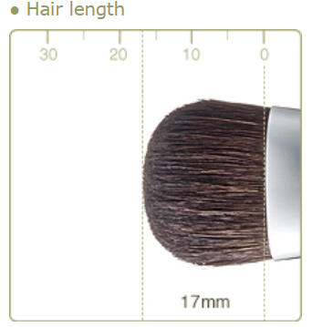 CHIKUHODO R-H2/RR-H2 Highlight Brush Flat-round Horse