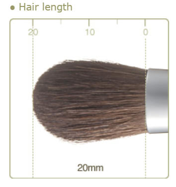 CHIKUHODO older version R-S1/RR-S1 Eyeshadow Brush Flat-round Horse