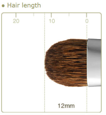 CHIKUHODO older version R-S7/RR-S7 Eyeshadow Brush Flat-round Canadian squirrel mix Weasel