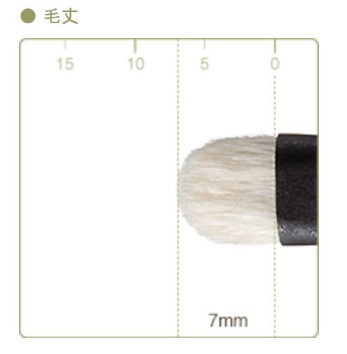 CHIKUHODO T-12 Eyeliner brush ,shadowliner,saikoho,T series