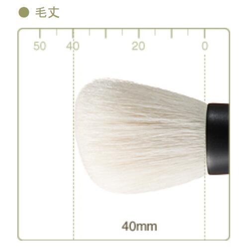 CHIKUHODO T-2 powder brush,angle,saikoho,T series